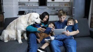 Finding Your Furry Forever Friend: A Guide to Pet Adoption