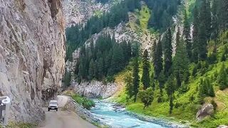 road tripped