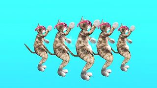 Dancing Cats