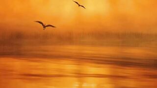 Beautiful sunset