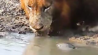 get-out-bro-this-is-my-place
