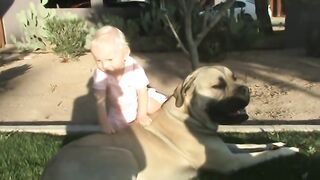 Wow 'and child feeling happy mood - dog are friends_