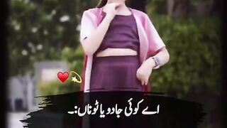 Pani de gal