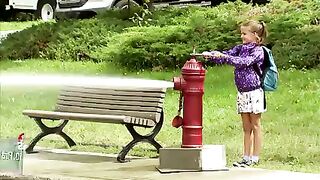 Top 10 funny videos all