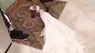 Cute funny dog