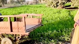 Best Sindhi Funny Video |Watch And Enjoy Full HD | Entertainment Video|2023