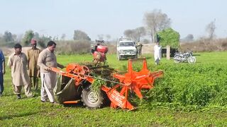 New harvest technology