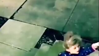 funny videos of 2023