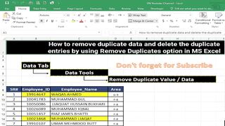 How to Remove the Duplicate data  , entries from MS Excel Data