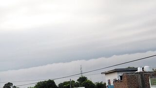 Weather loving