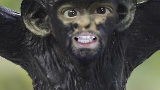 Funny video ????????????????????????