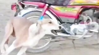 Funny video
