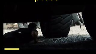 Jurassic park movie clip