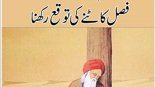 Urdu Quotes