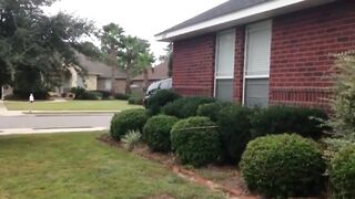 funny video short 41