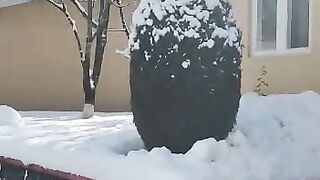 Beautiful snowfall video #nature status #whatsapp nature status #nature