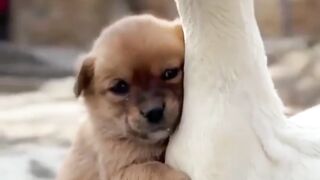 Best friend and best love