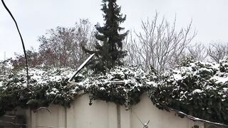 Snowfall 2023