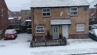 Snow fall View