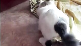 Scared while playing.