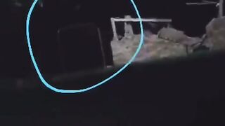 shocking video- entertainment video