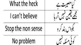 English to Urdu sentences
