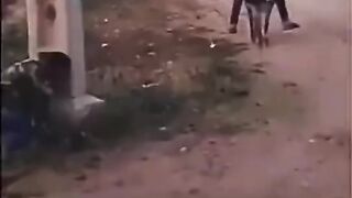 Viral Funny Video #viral
