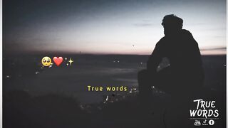 Whatsapp video