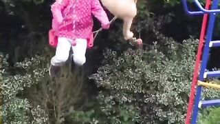 Funny Animals The Cutest Animals Ever
