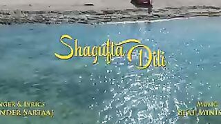 Shaghufta Dilli