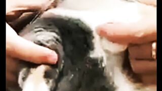 Cats are so funny and adorable |