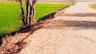 My video