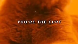 Love me like you do X Zaalima