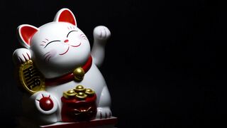 so cute caty