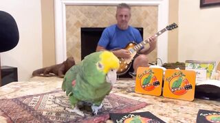 Заботиться о бизнесе