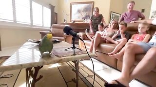 Первое концертное представление