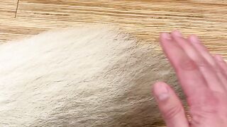 Funny Dog - Best Of The 2021 Funny Dog Videos - TRY NOT TO LAUGH!