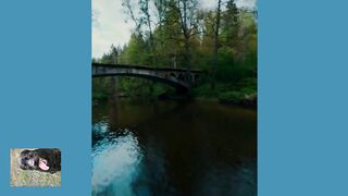 Там где нет человека