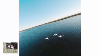 полет с лебедями