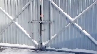 Я смеялся до слёз.
