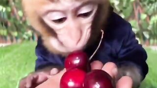 Give me cherries.