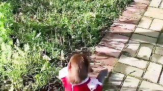 The monkey likes red.