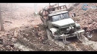 131 zil will creep through everywhere.