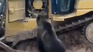 A typical working day in the Russian outback.