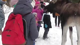 Не доверяйте диким животным своих детей!