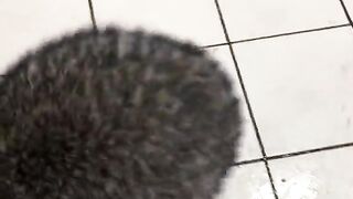 Лёня японский летчик