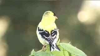 Старинный сильный Заговор от нищеты используют при крайней нужде.