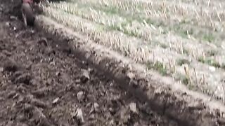 New Pahata technique.