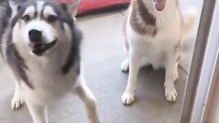 Here are the girls dancing.