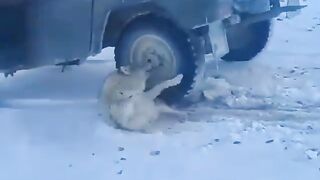 Осторожно, видеозапись содержит сцены насилия!